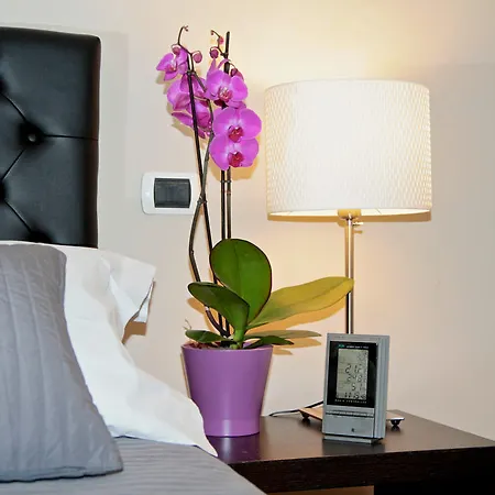 Bed & Breakfast Mazzini